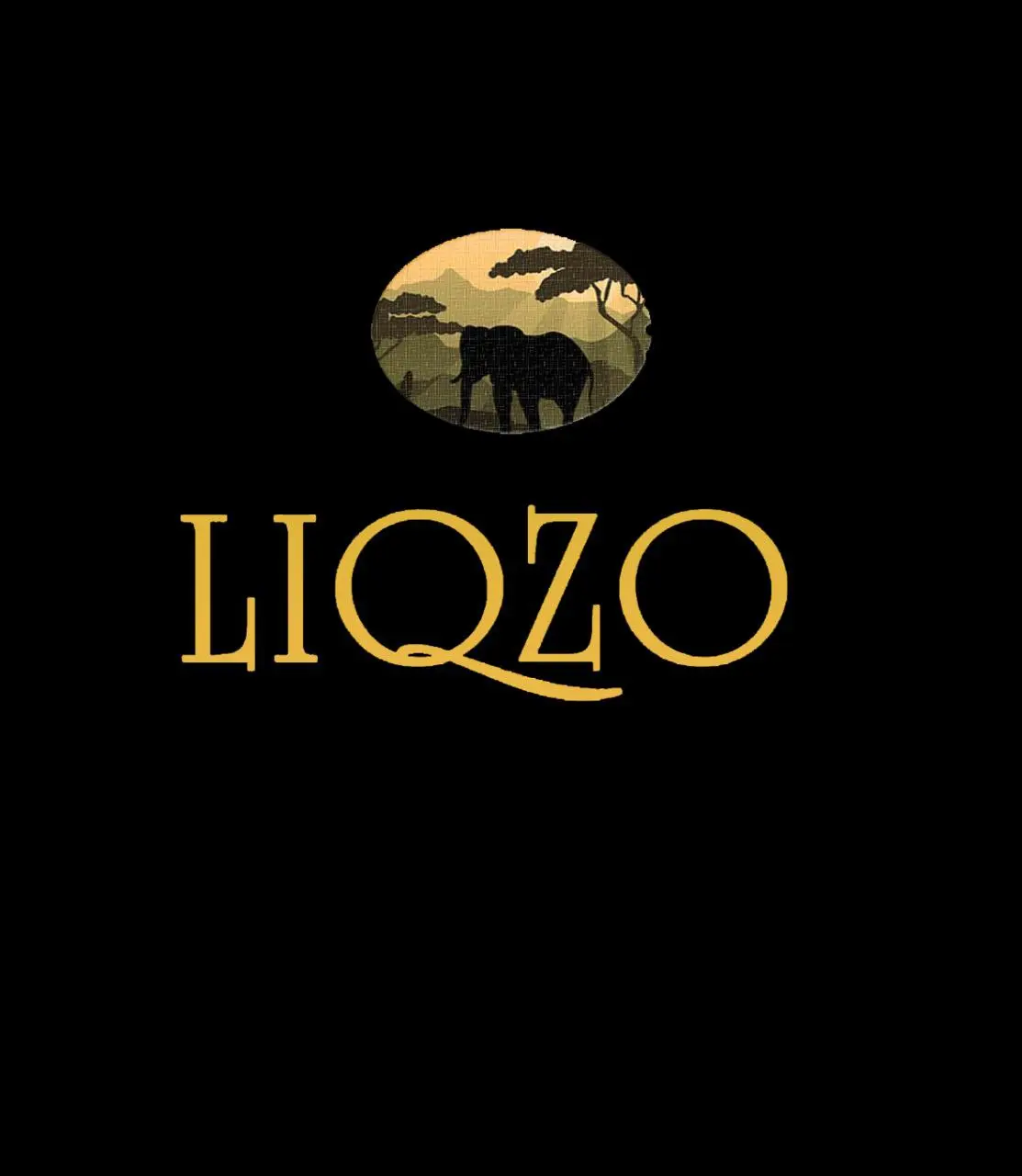 Logo LIQZO
